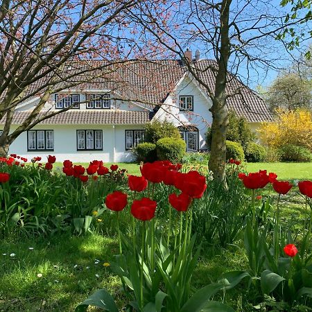 Landhaus Haack Tumlauer Koog エクステリア 写真