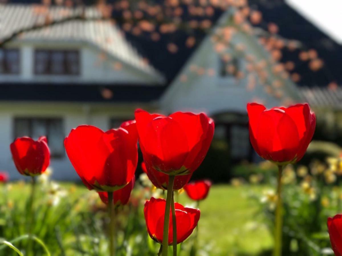 Landhaus Haack Tumlauer Koog エクステリア 写真